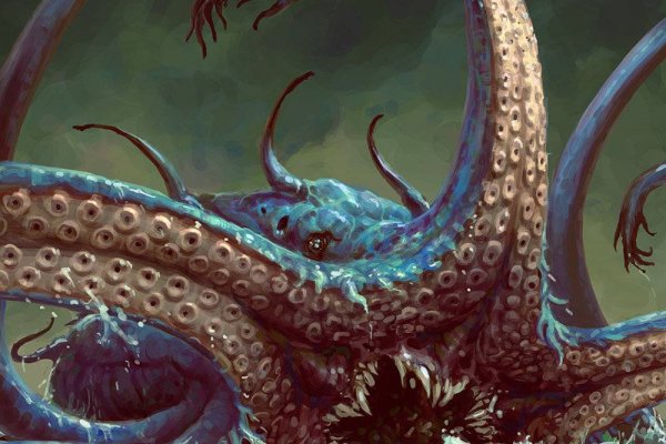 Kraken 12at