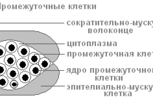 Кракен зеркало krk store com