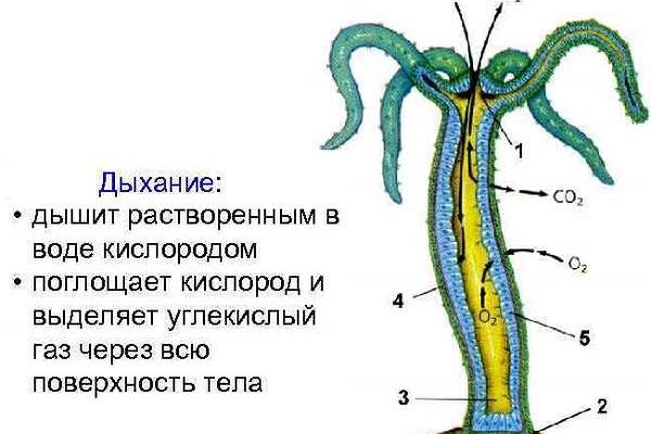 Кракен маркетплейс ссылка на сайт