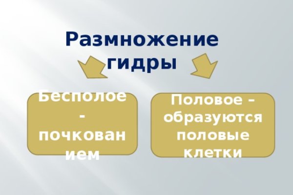 Кракен зеркало рабочее на сегодня