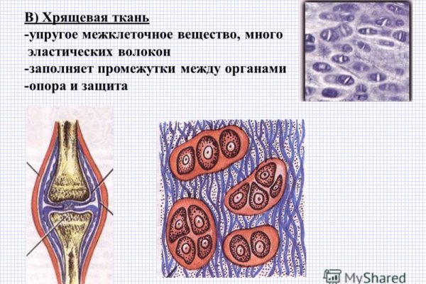 Рабочий кракен